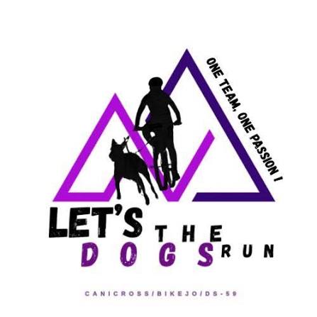 logo let's the dog run